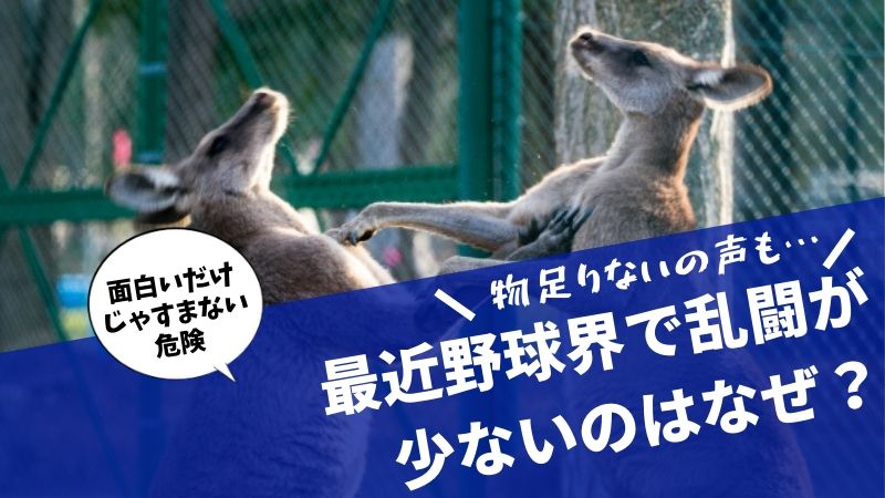 プロ野球の乱闘はなぜ最近少ないのか理由と過去の乱闘理由で引退選手も タピオカはごはん